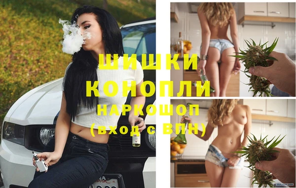 дживик Навашино