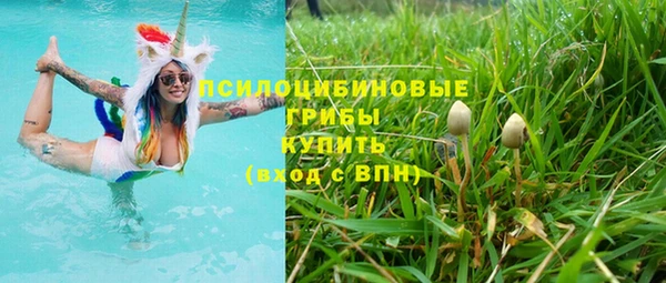 дживик Навашино