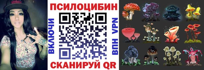 Галлюциногенные грибы Psilocybine cubensis  Новосибирск 