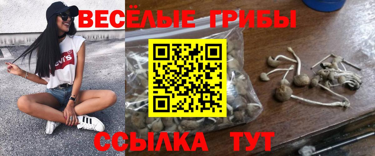 Галлюциногенные грибы ЛСД  Вход с VPN  Псилоцибиновые грибы мицелий  Новосибирск 